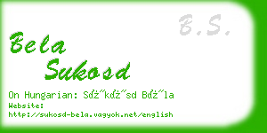 bela sukosd business card